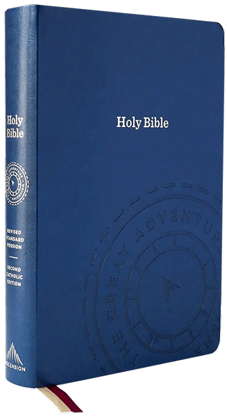 Great Adventure Bible Back
